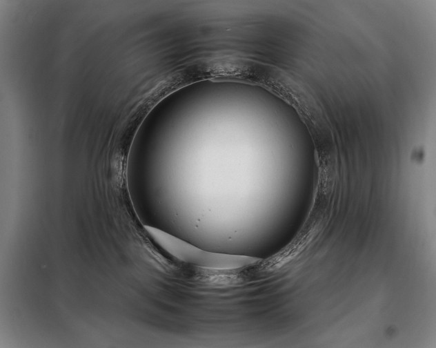 X0000098220093200805011244