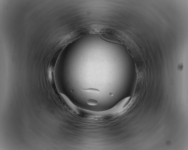 X0000098220094200805011244