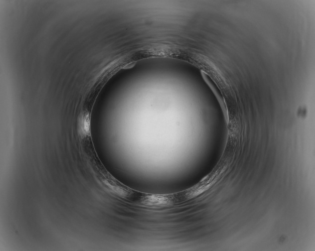 X0000098220095200805011244