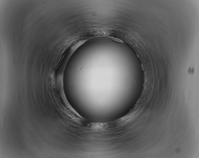 X0000098220096200805011244