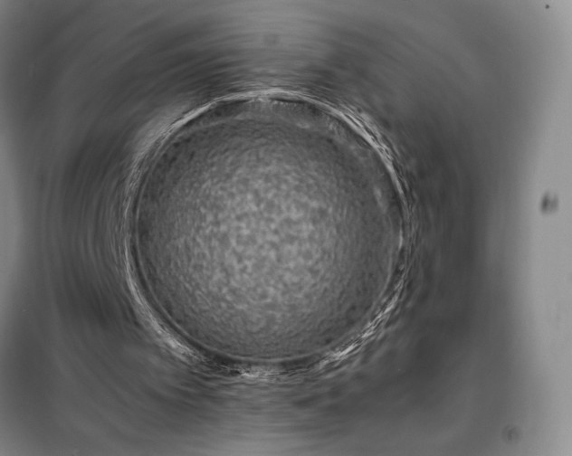 X0000098220097200805011243