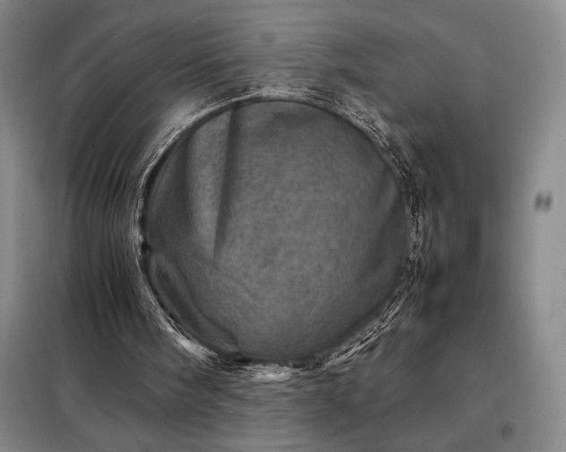 X0000098220098200805011243