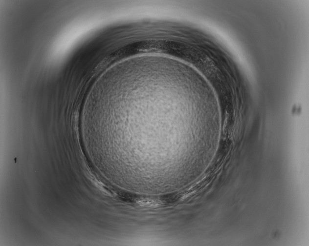 X0000098220099200805011243