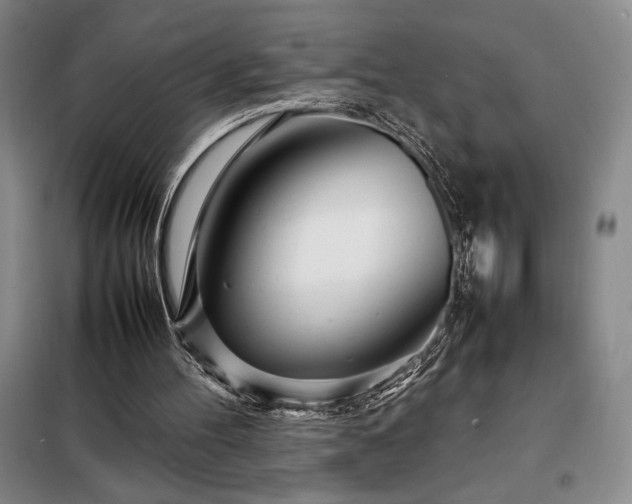 X0000098220100200805011243