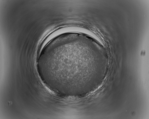 X0000098220101200805011243