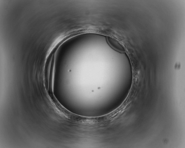 X0000098220102200805011243