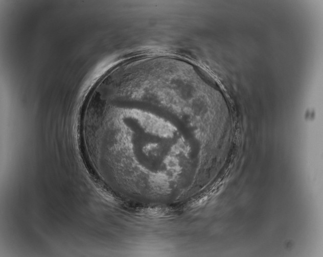 X0000098220103200805011243