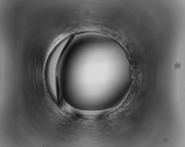 X0000098220104200805011243