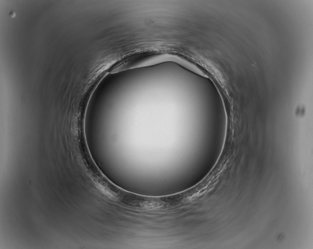 X0000098220105200805011243