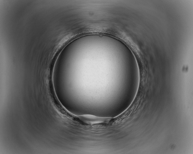 X0000098220107200805011243