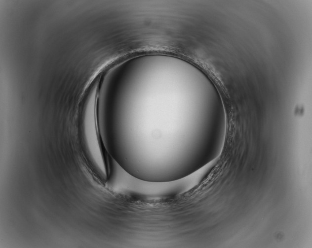 X0000098220108200805011243