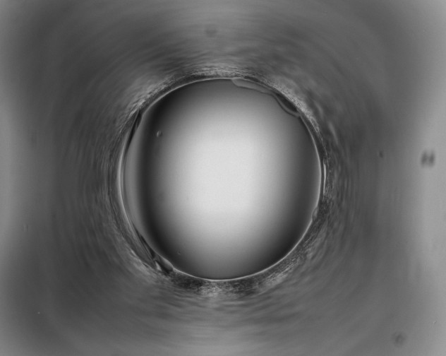 X0000098220109200805011243