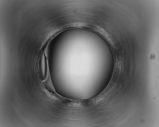 X0000098220110200805011243