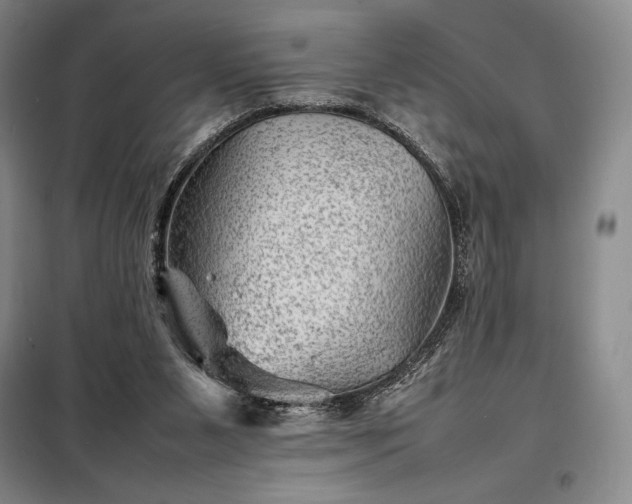 X0000098220111200805011243