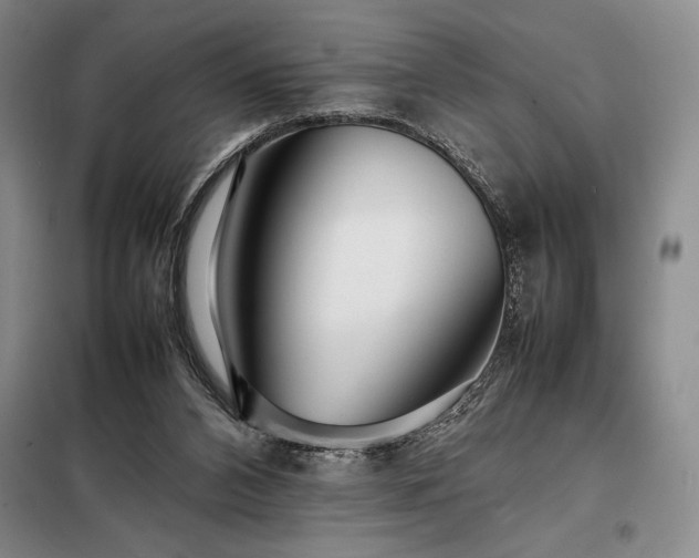 X0000098220112200805011243