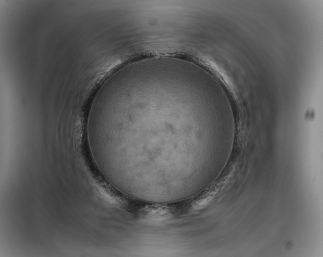 X0000098220113200805011243