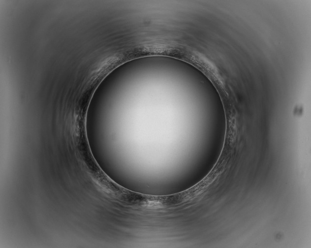 X0000098220114200805011243