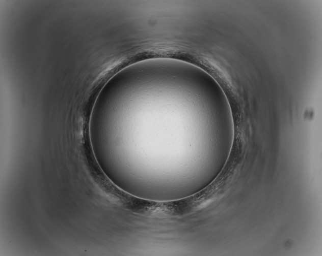 X0000098220115200805011243