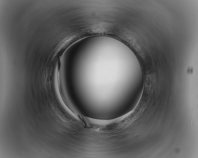 X0000098220116200805011243