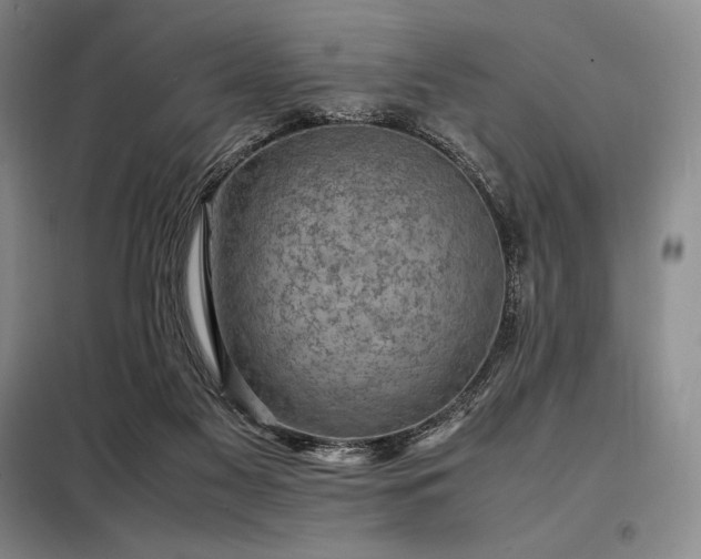 X0000098220117200805011243