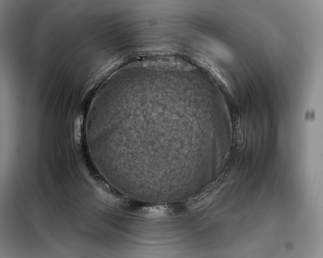 X0000098220118200805011243