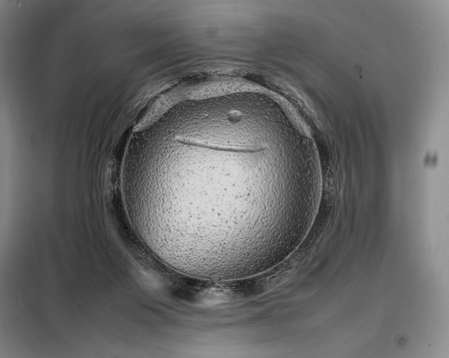 X0000098220119200805011243