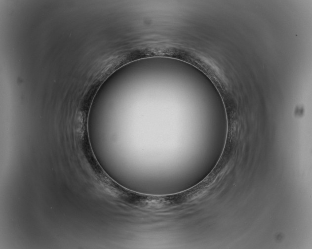 X0000098220121200805011243