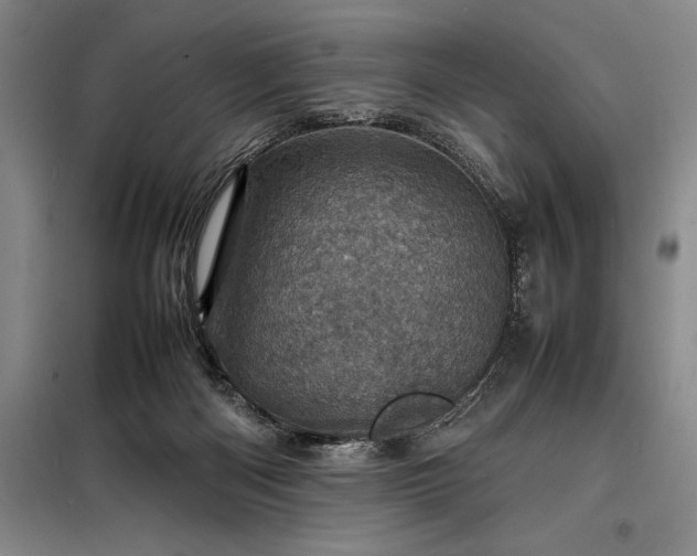 X0000098220122200805011243