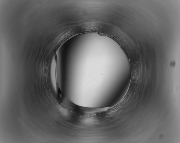 X0000098220124200805011243