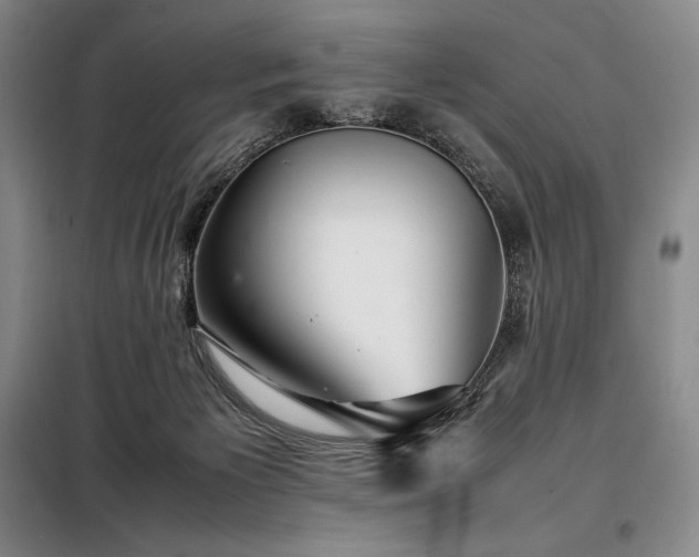 X0000098220125200805011243