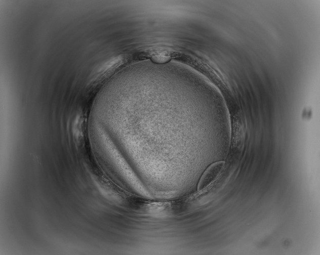 X0000098220126200805011243