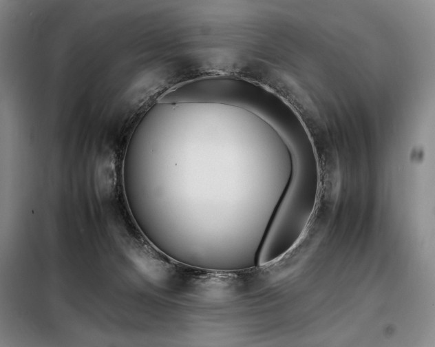 X0000098220128200805011243