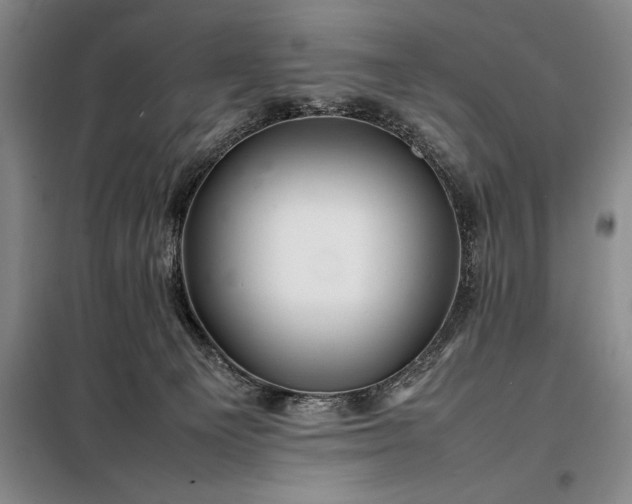 X0000098220129200805011243