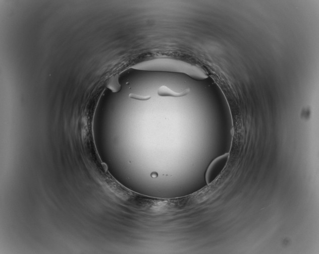 X0000098220130200805011243