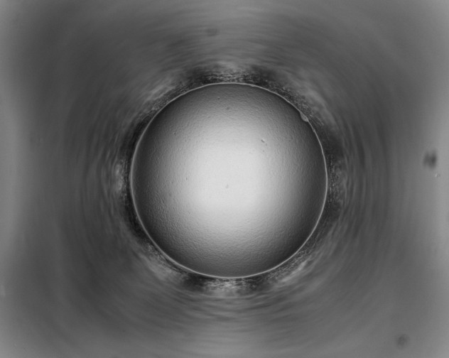 X0000098220131200805011243