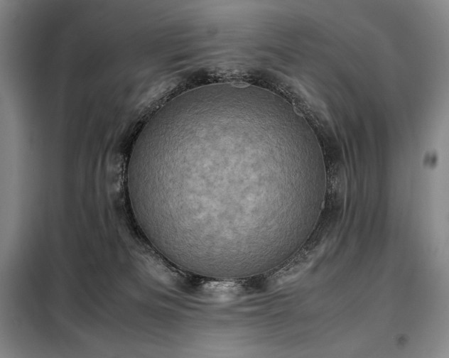 X0000098220133200805011243