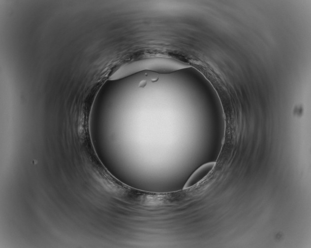 X0000098220134200805011243