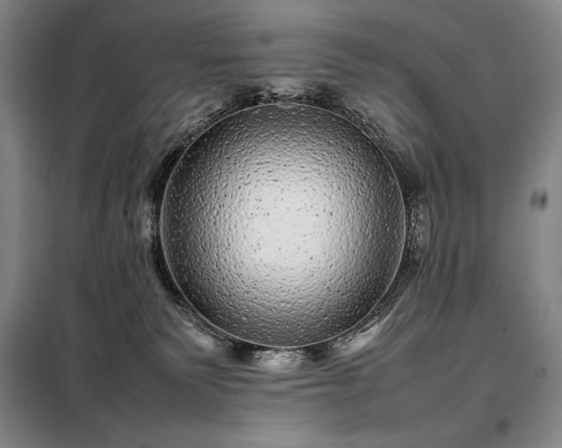 X0000098220135200805011243