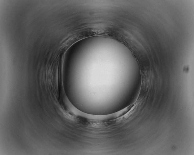 X0000098220136200805011243