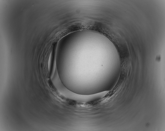 X0000098220137200805011243