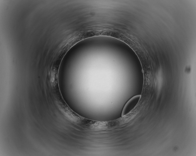 X0000098220138200805011243