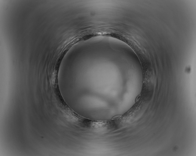 X0000098220139200805011243