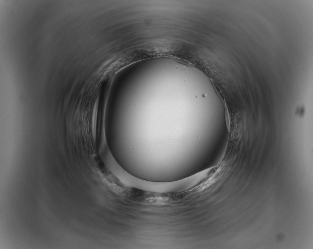 X0000098220140200805011243