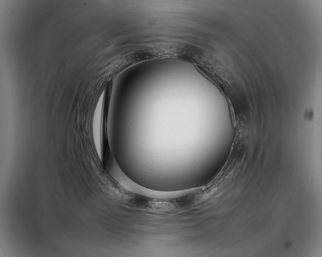 X0000098220141200805011243