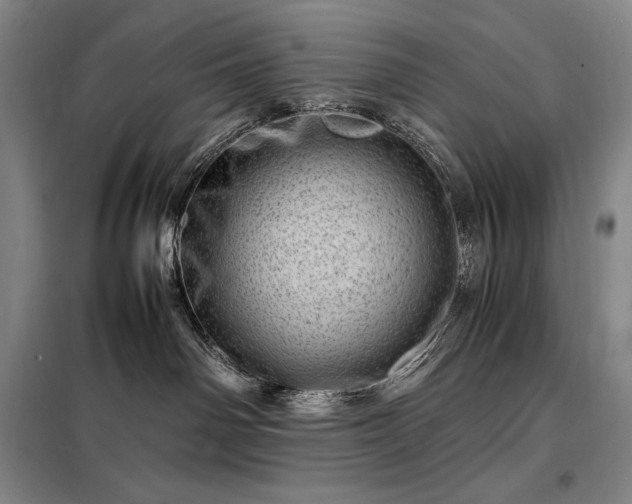 X0000098220142200805011243