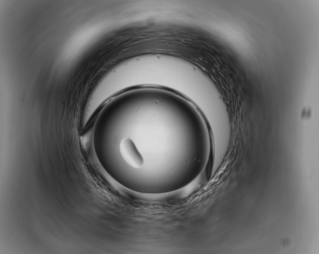 X0000098220146200805011242