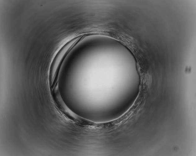 X0000098220148200805011242