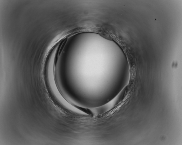 X0000098220150200805011242