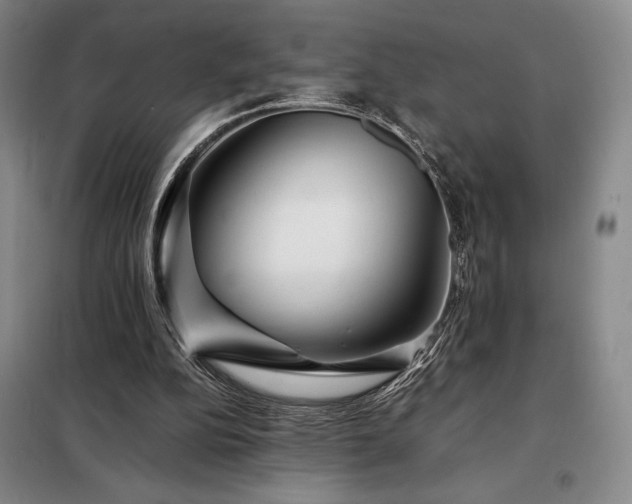 X0000098220152200805011242