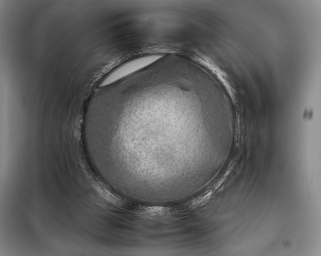 X0000098220153200805011242